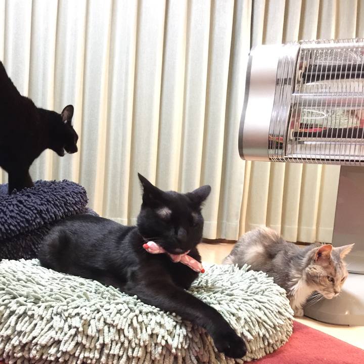 7a8e999a 0129 4f1b ba8b 7a4261b576ef