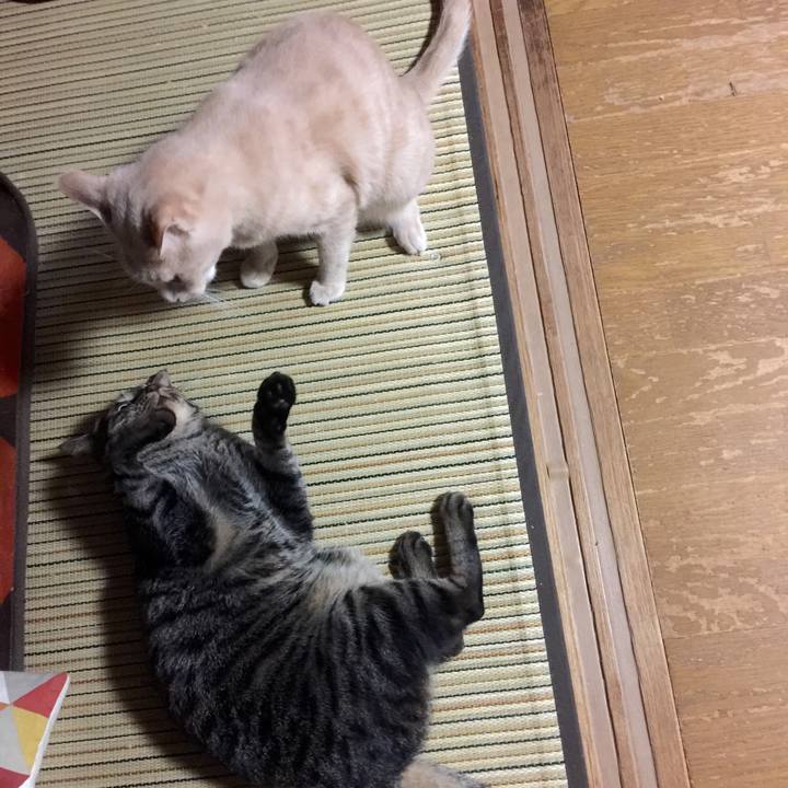 7a8eaca1 fbaa 4316 b7b1 fa3e698080ad