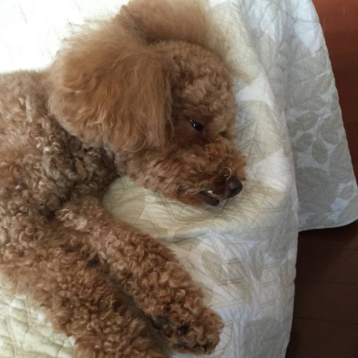 7a8ed21c 47eb 4406 a145 12ed83016266