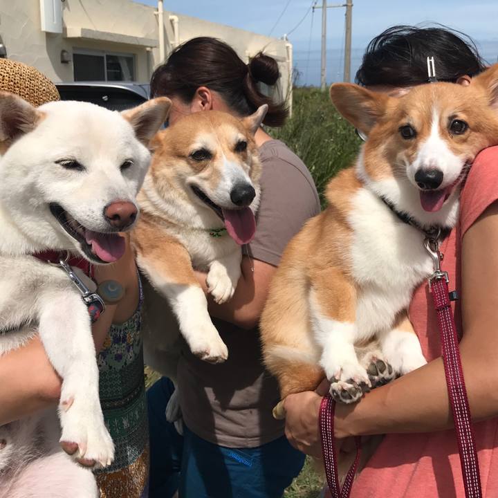 7a8f20ad d282 4ba9 8bd4 9427582499e9