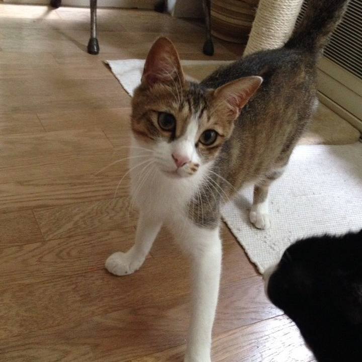 7a8f401e cc14 4121 b27c edca9f68c90e