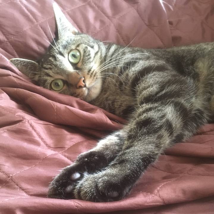 7a8f4db5 31c8 44eb 8ade 50714bf72ebe