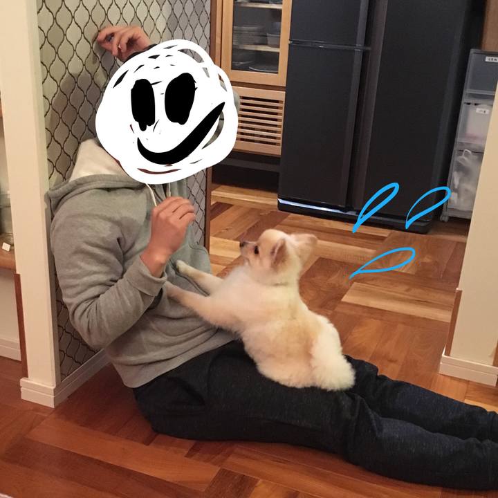 7a8fb578 5401 4bd9 94a4 62feece9d7de