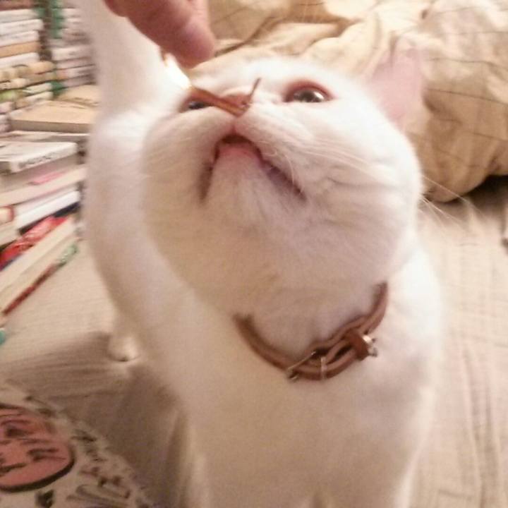 7a8feec9 f7e9 4c11 8e5f d09583d76c18