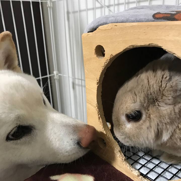 7a90adb9 1ad4 4acb 99ee 42c8560fe31c