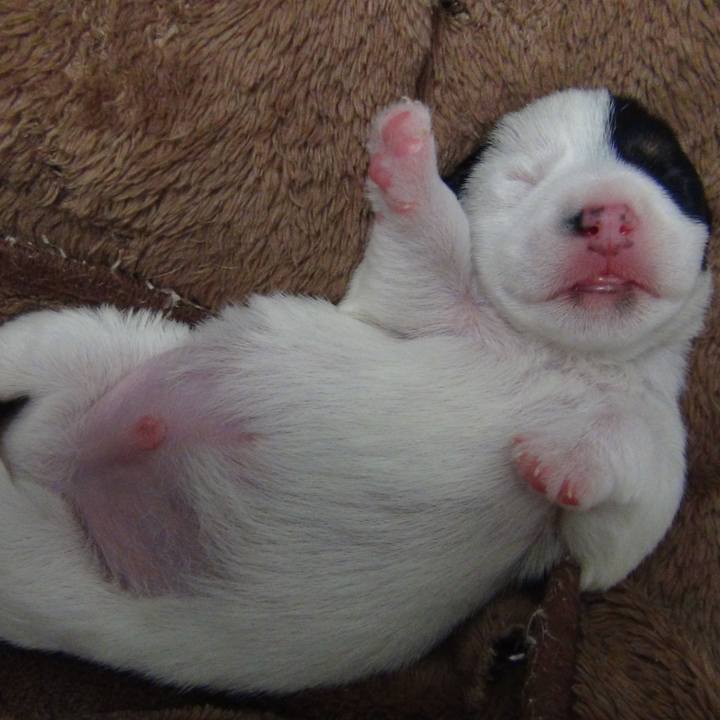 7a9170af 2fe8 445b 945c 4fce4f3d5eca