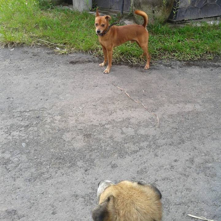 7a91aede ed7f 40b3 8805 986257b550da