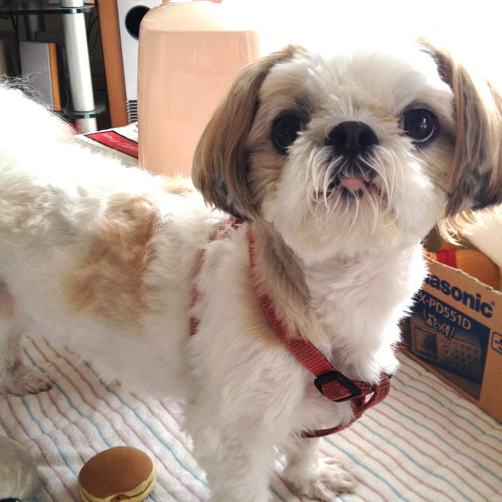 7a920873 d9e6 466c bcbc a7c1478b0053