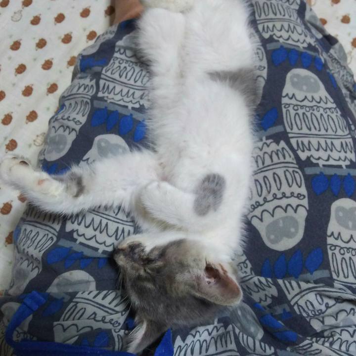 7a9236b3 333f 46f2 a0a5 b75d262f2169