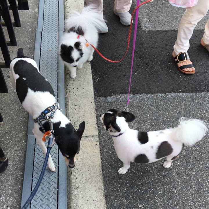 7a923c5e 68d0 451e 807f 5da0bc9ba020