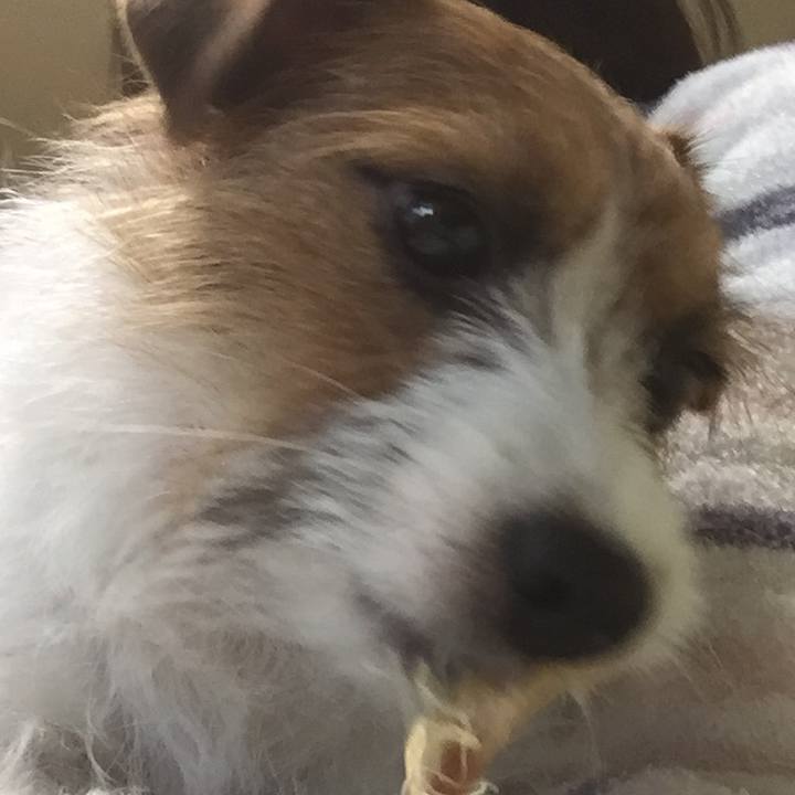 7a923d96 f3c3 4bb9 80d9 7cfe384df971