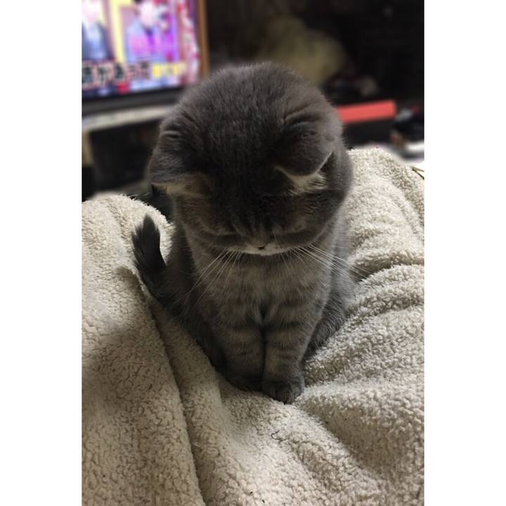 7a92585d b52c 48f8 bb10 83f8fe753db5