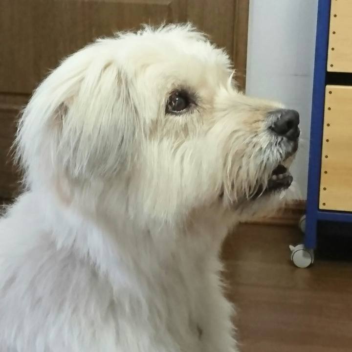 7a930e8f 8dca 4f79 bc22 be0a02c0c439