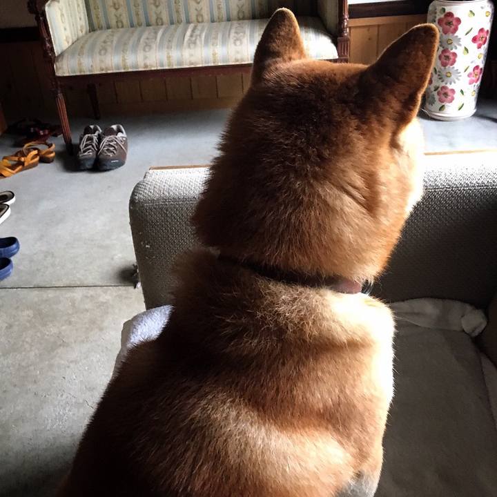 7a944f3b 8730 41ab 9a53 7768cc8522cc