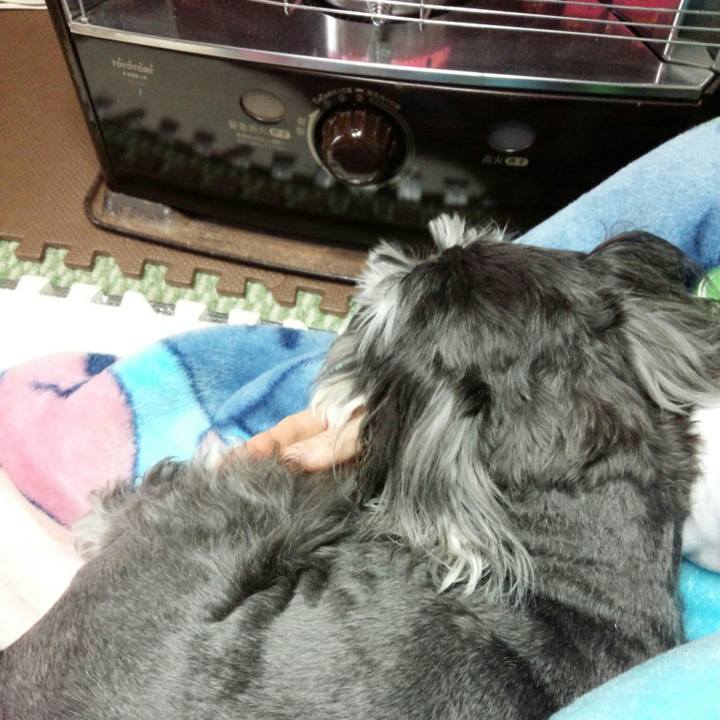 7a94f845 6c1d 44f1 9891 cb60ce5aa690