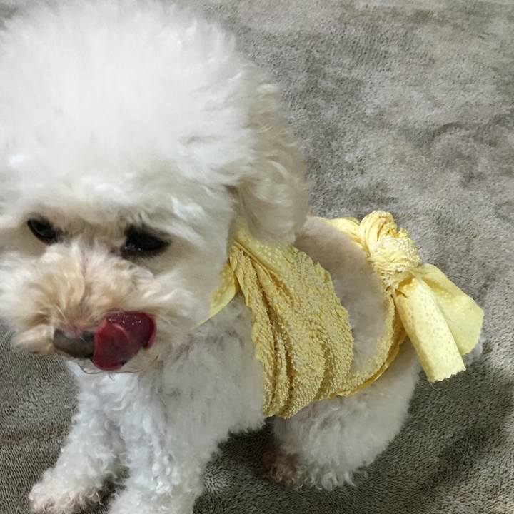 7a955a4d 52af 4860 b72b af9dea129c4d