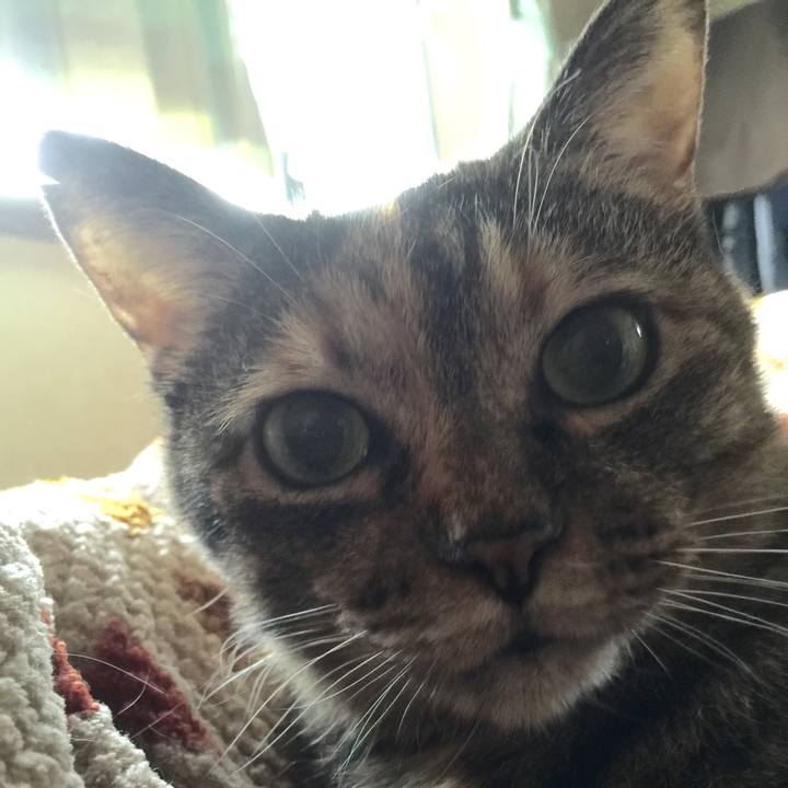 7a95c2a7 6a74 4622 a9e3 a27ab1c1e260