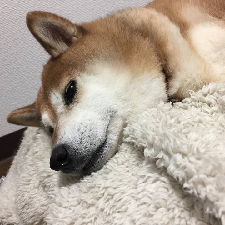 7a95fe5a 6df0 4441 81ca 6bd59a1bbf3b