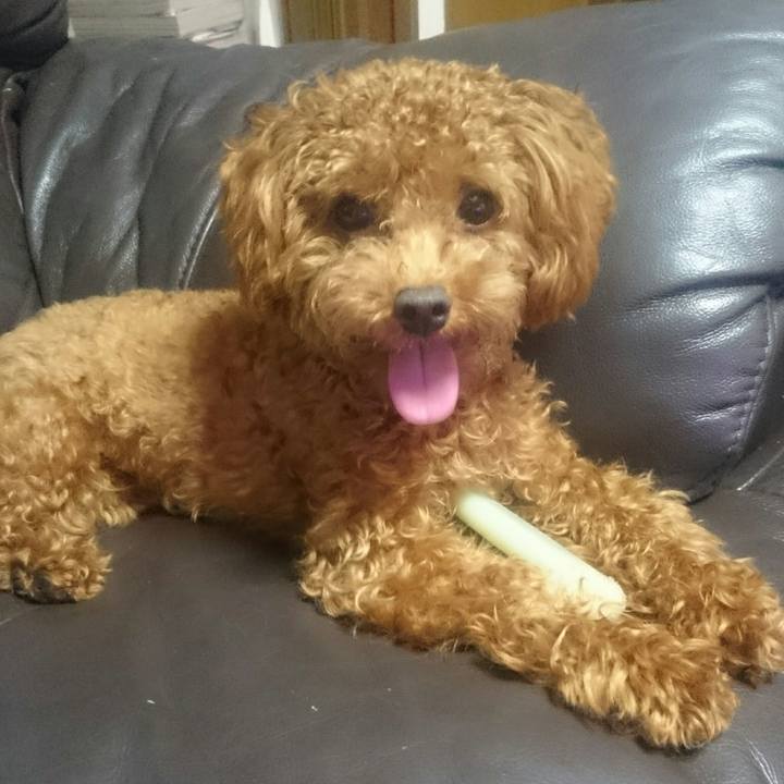 7a962ddf 21df 42bd 8aaf b56f163d8838