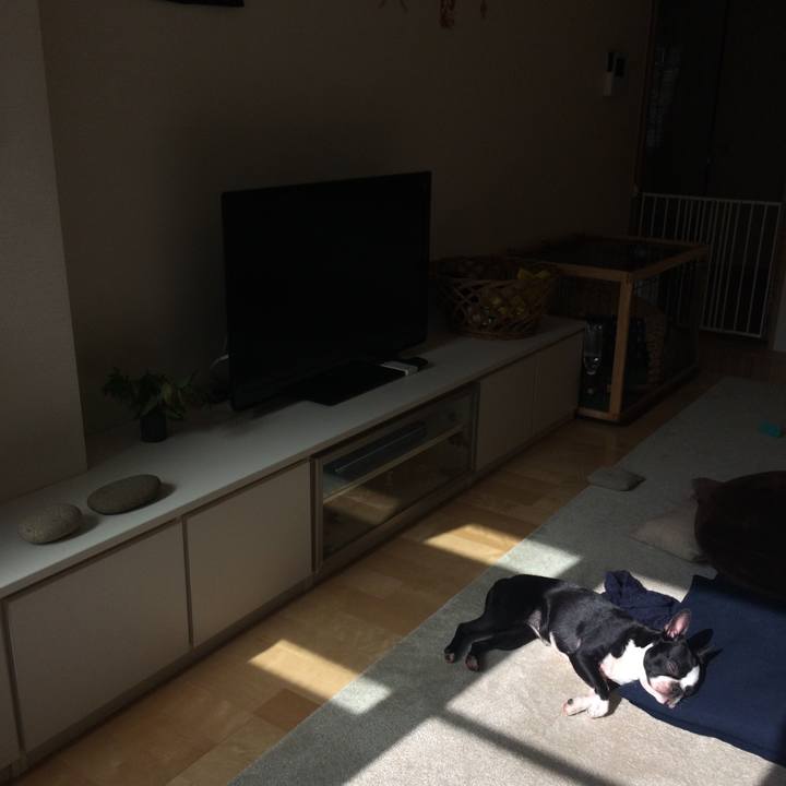 7a967f81 61d5 40ec a395 738806cc0992