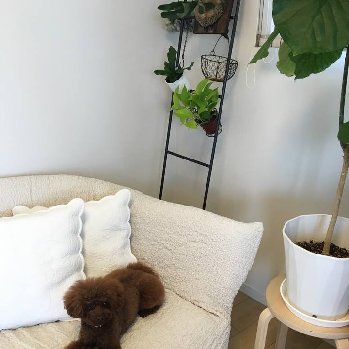 7a96c7c4 84e9 4f43 82a3 0ec4df9e2360