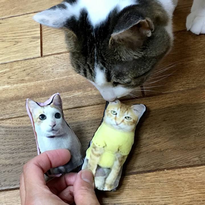 7a97cc95 e811 4644 acd8 262ce45a8771