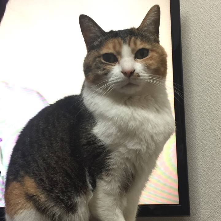 7a990a49 66bf 442c b0d5 f6e85cd946dc