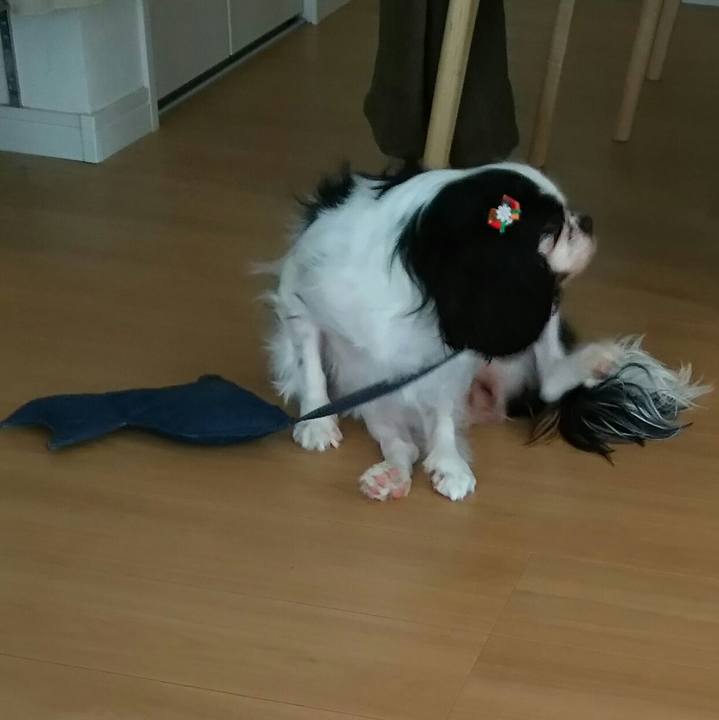 7a996694 f862 44cb bf67 f3e562f8b065