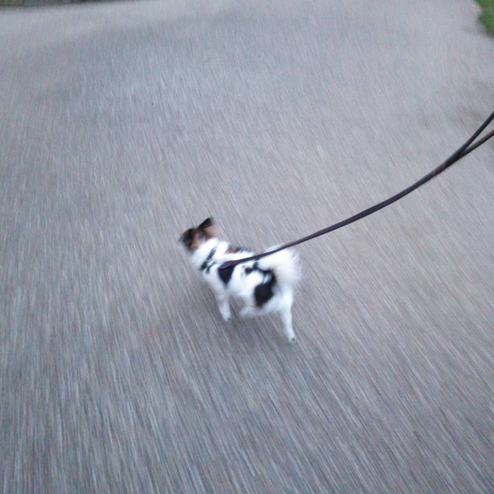 7a997476 c4df 40ca 81fb 7eea61014e2e