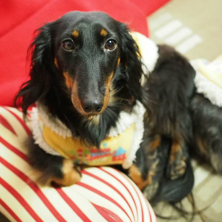 7a9a3fe2 db9f 4387 bb1f 85bedfb6882a