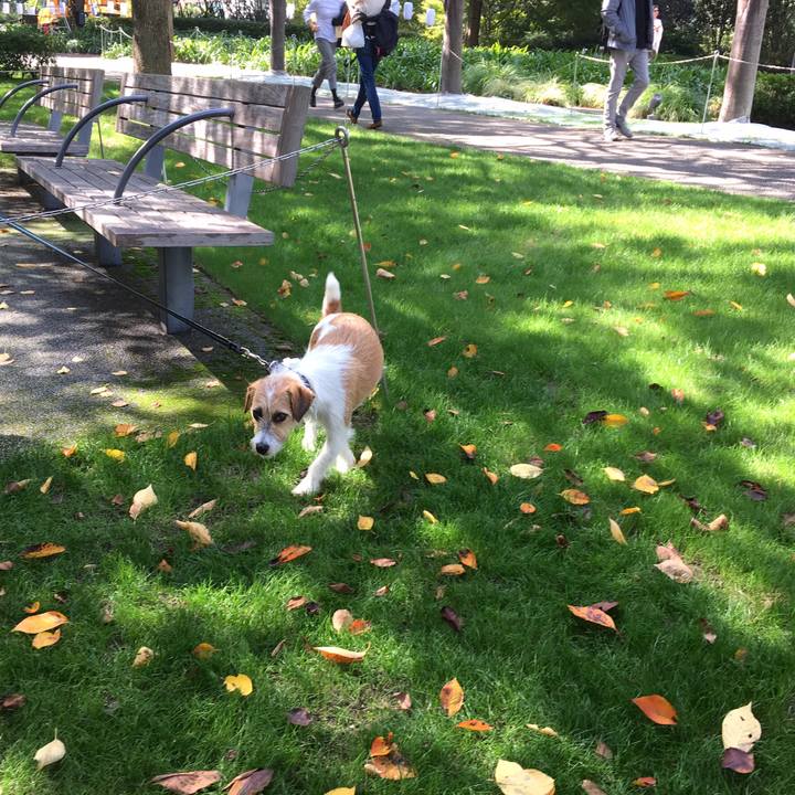 7a9acf2f d811 42ec b2ed 0a8fd436dd23