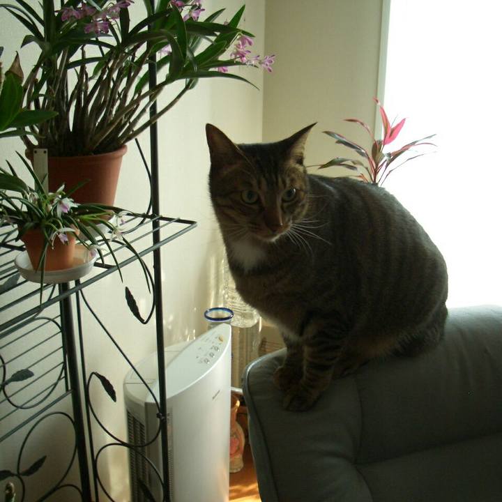 7a9afe1f b553 4187 b9d5 33e383c66c35