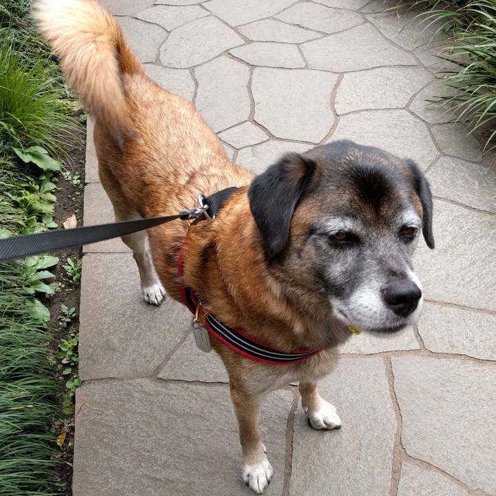 7a9b8eac 676f 4125 8530 b346b5f75465