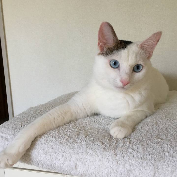 7a9ba75d d78b 4980 a3b6 7948b53c6d8f