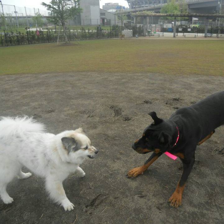 7a9c3385 ce77 4f17 a053 1c850c872d57