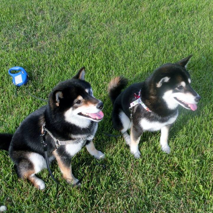 7a9c8f96 9dbf 4c58 b631 8efc3f38f3e4