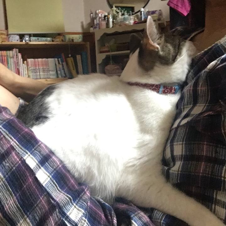 7a9d4ba8 254d 4e39 a99d fe5afa5485a9