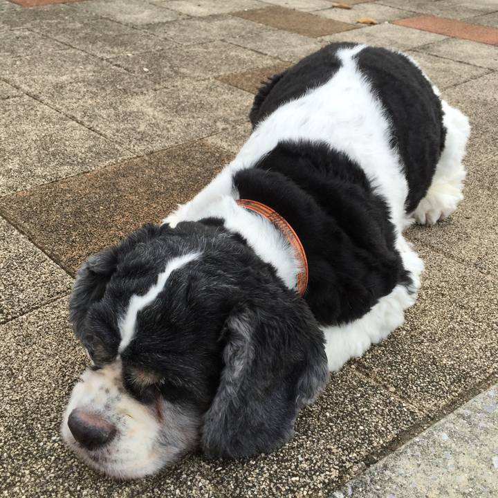 7a9dc1cd 0a82 4f46 be69 feabfe27e69e