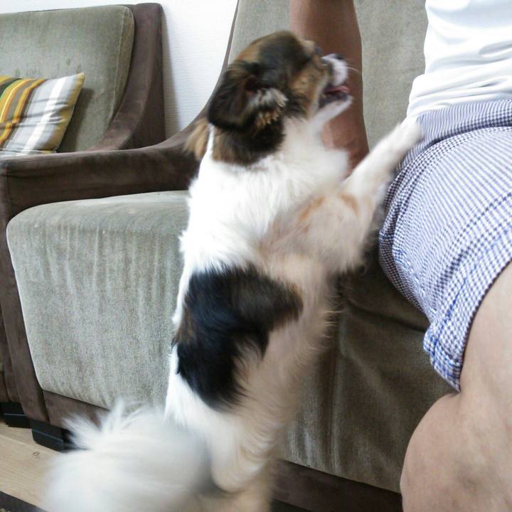 7a9e1a58 3a68 4a76 9c73 02187af439b7