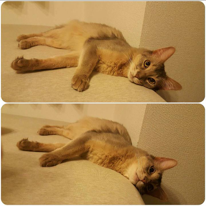 7a9f87c9 891c 4a47 99c5 a9cb46c245e5