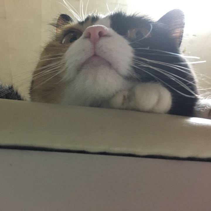 7a9fff81 28b0 48e5 aabf d7abf27b4d72