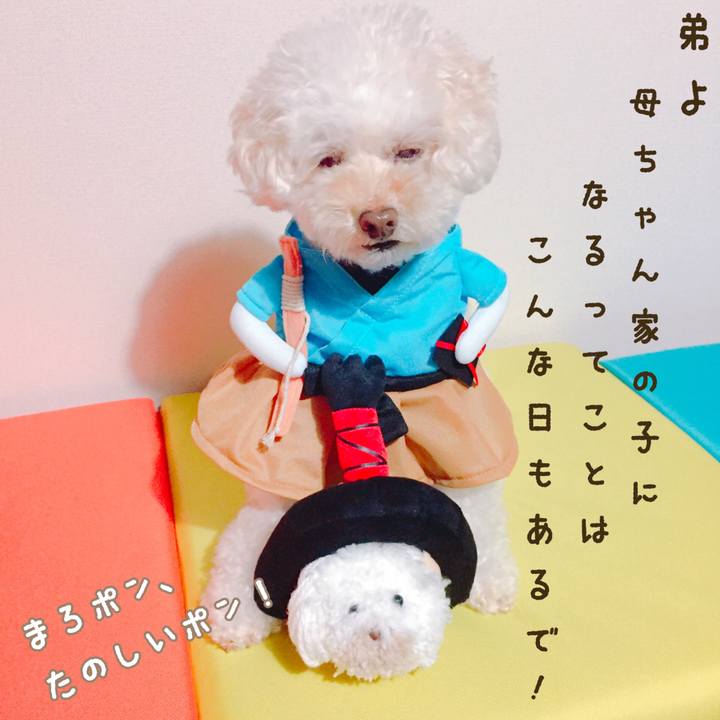 7aa06c6b 1b05 433f 9fef 5f7b8d31ae36