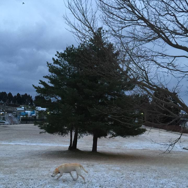 7aa09522 6eb5 4224 b899 81e7e95a2c6f