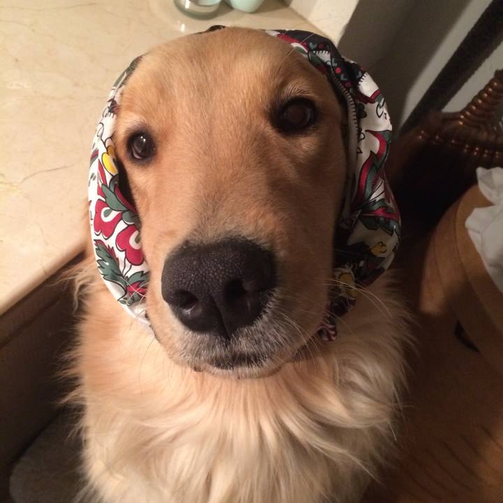 7aa0b92b 6330 4ce5 b5a5 645087eac0e1