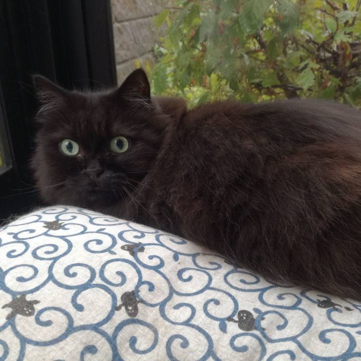 7aa0ba01 b7a7 4afd b922 0def202f8a7a