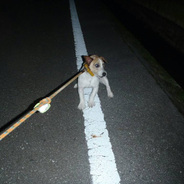 7aa12792 bfdd 4ea7 87f6 602a6694f3b3