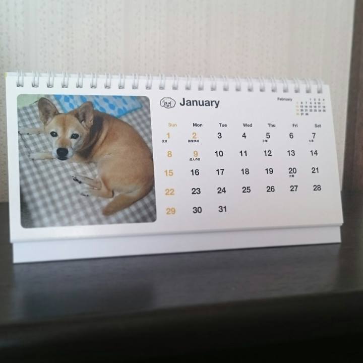 7aa159d0 2740 423e a321 a8b7ebf9fb3b