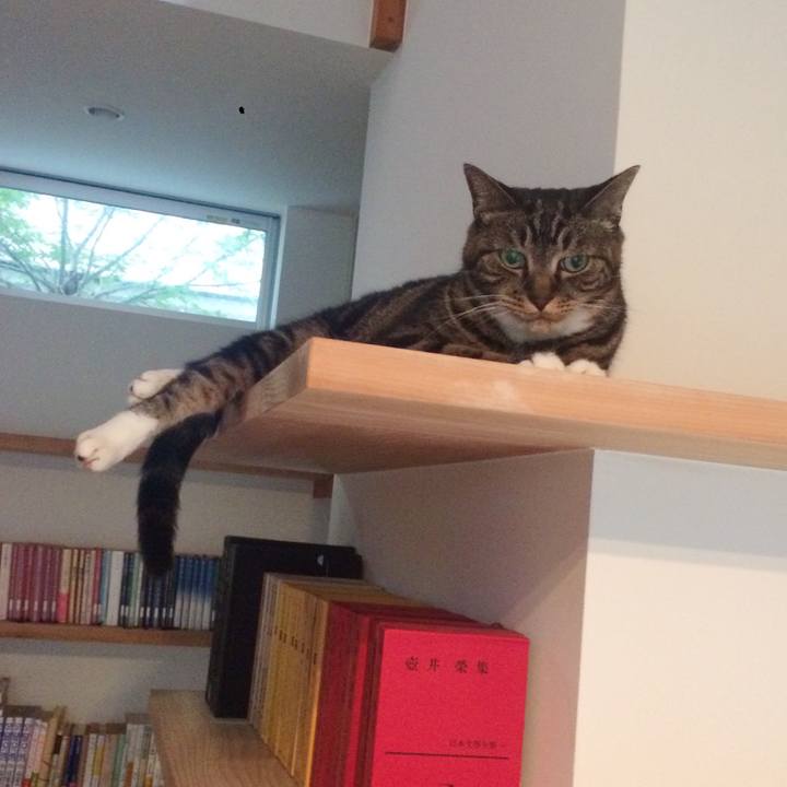 7aa29747 2ac8 453f bef1 c8141a624ee2