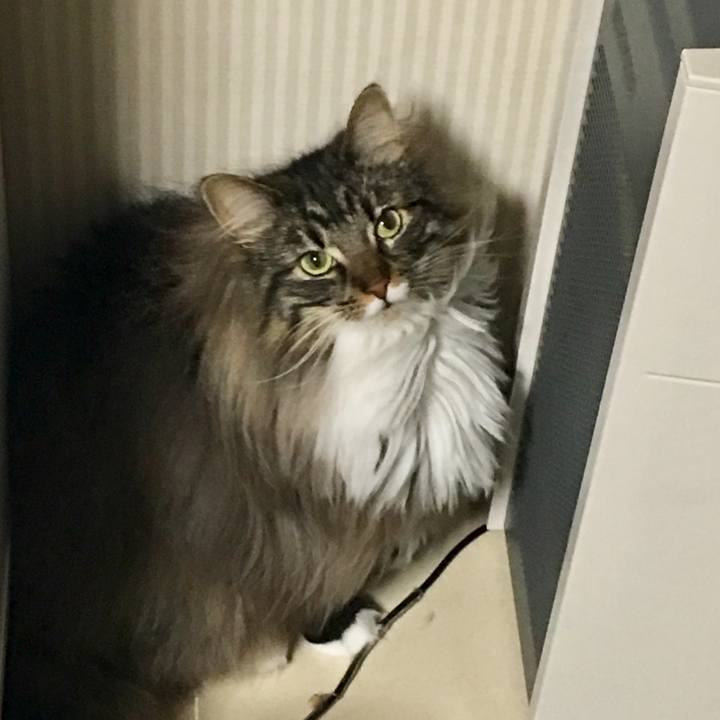 7aa29a13 2726 41d1 a716 536274ec97a7