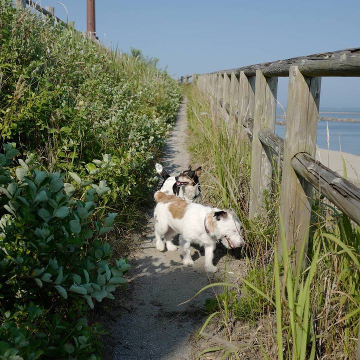 7aa2ae1f b762 4fed acd0 6a1693e5707b